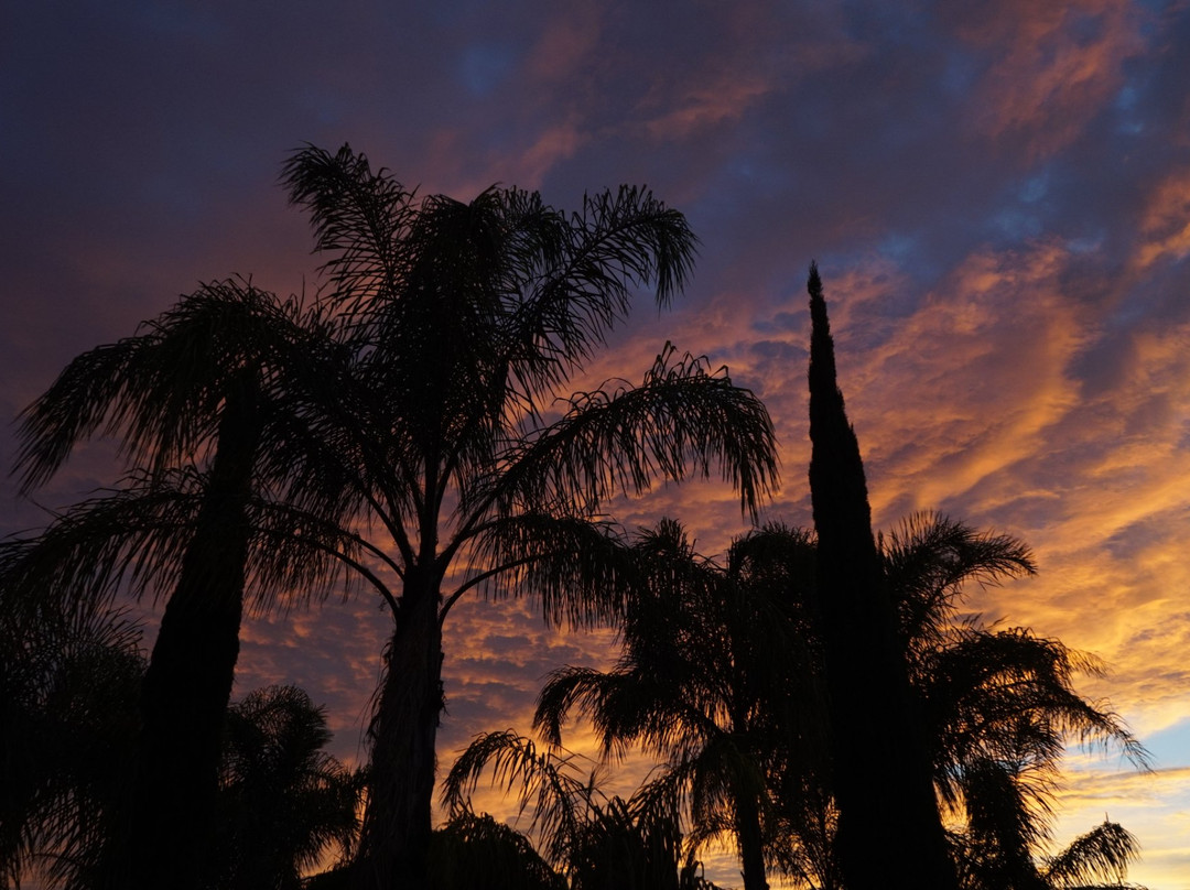 Renmark Motor Inn主图