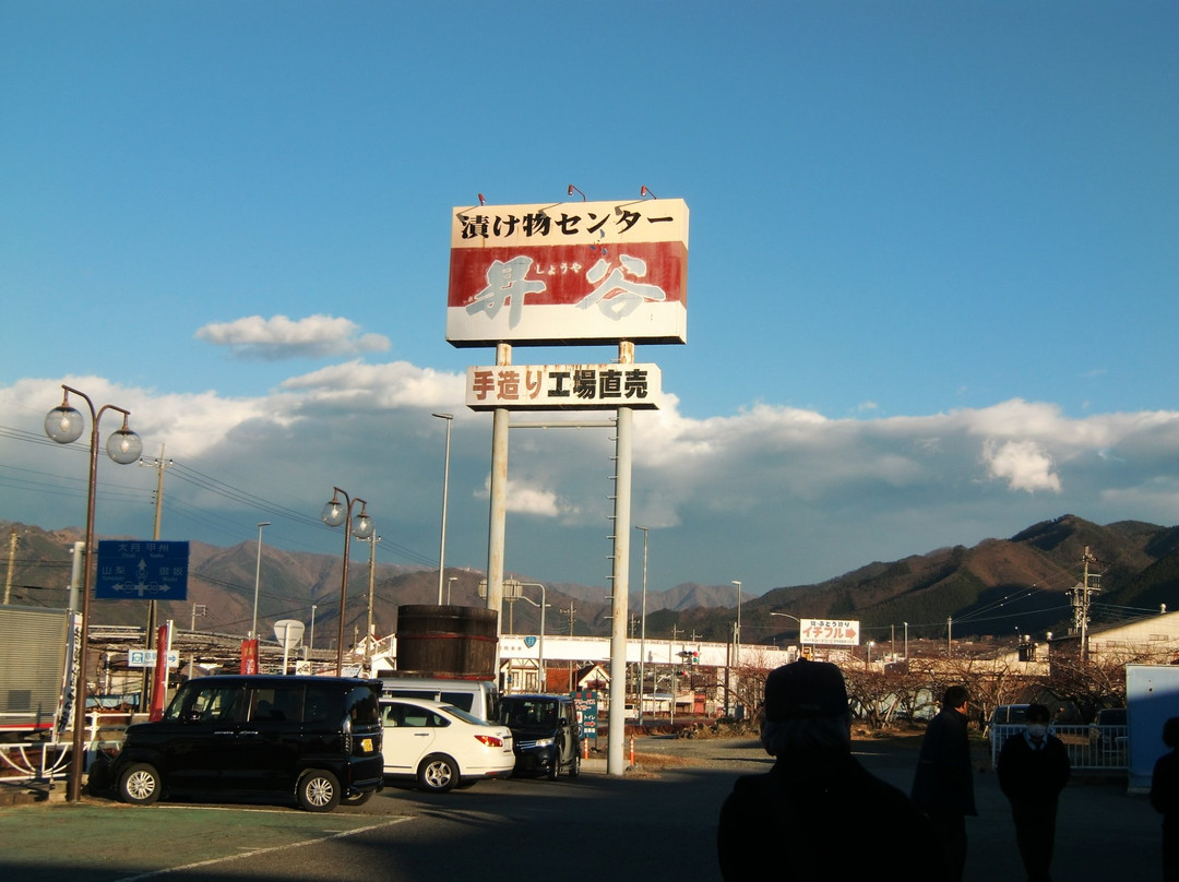 Tsukemono Center Shoya Ichinomiya景点图片