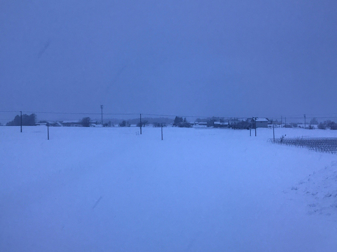 Sun Hills Sarai主图