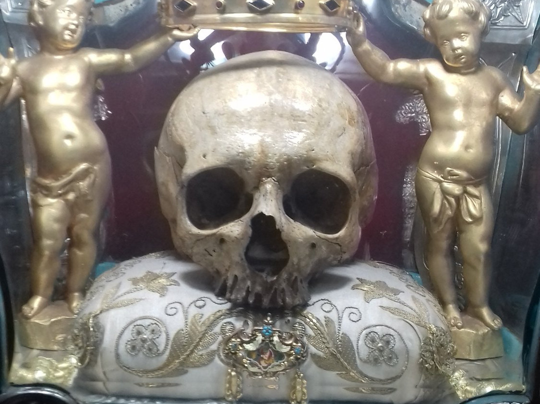 Santuario di San Luigi Gonzaga景点图片