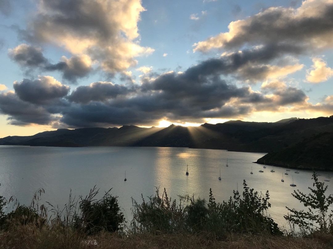 Corsair Bay-基督城必去景点