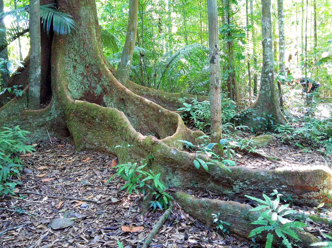 Sentier de la Mirande-Matoury必去景点