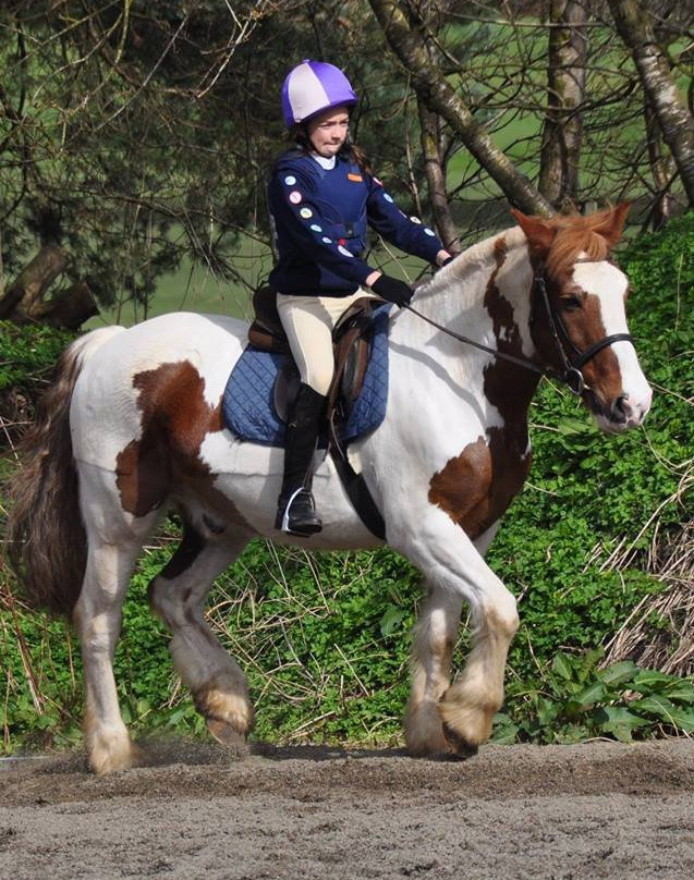 Hayfield Equestrian Centre景点图片