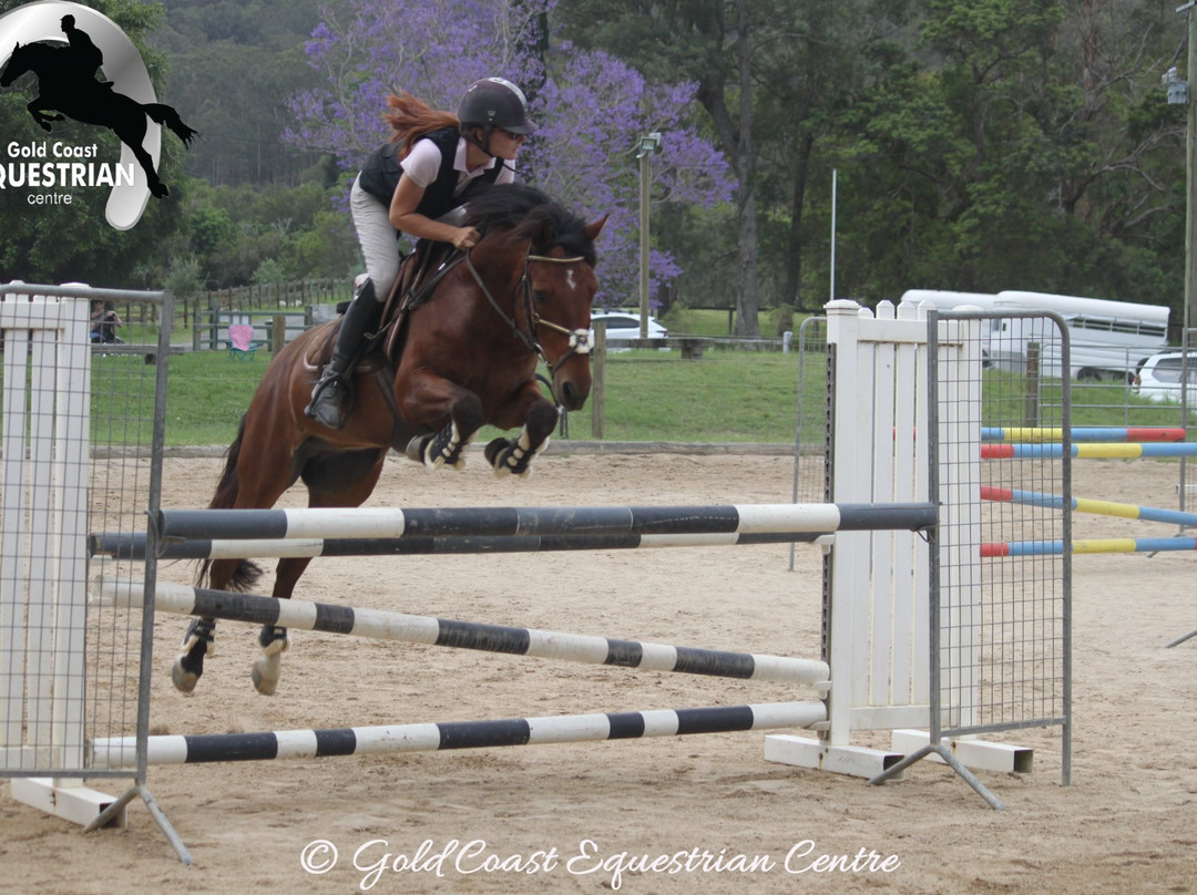 Gold Coast Equestrian Centre-Clagiraba必去景点