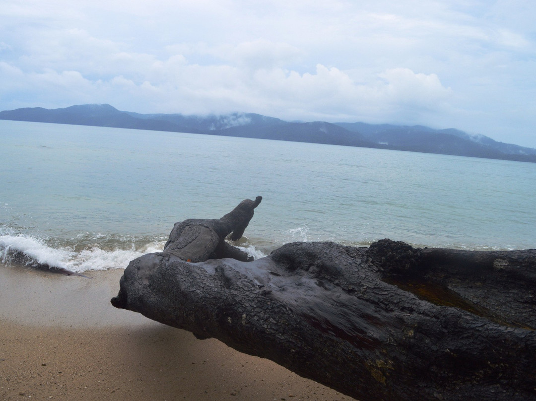 Munda Pahad Beach-布莱尔港必去景点
