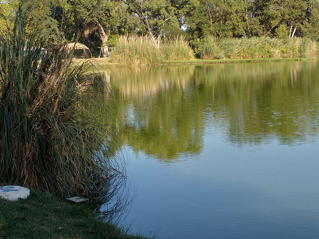 Lago Azzurro Camping Area Camper