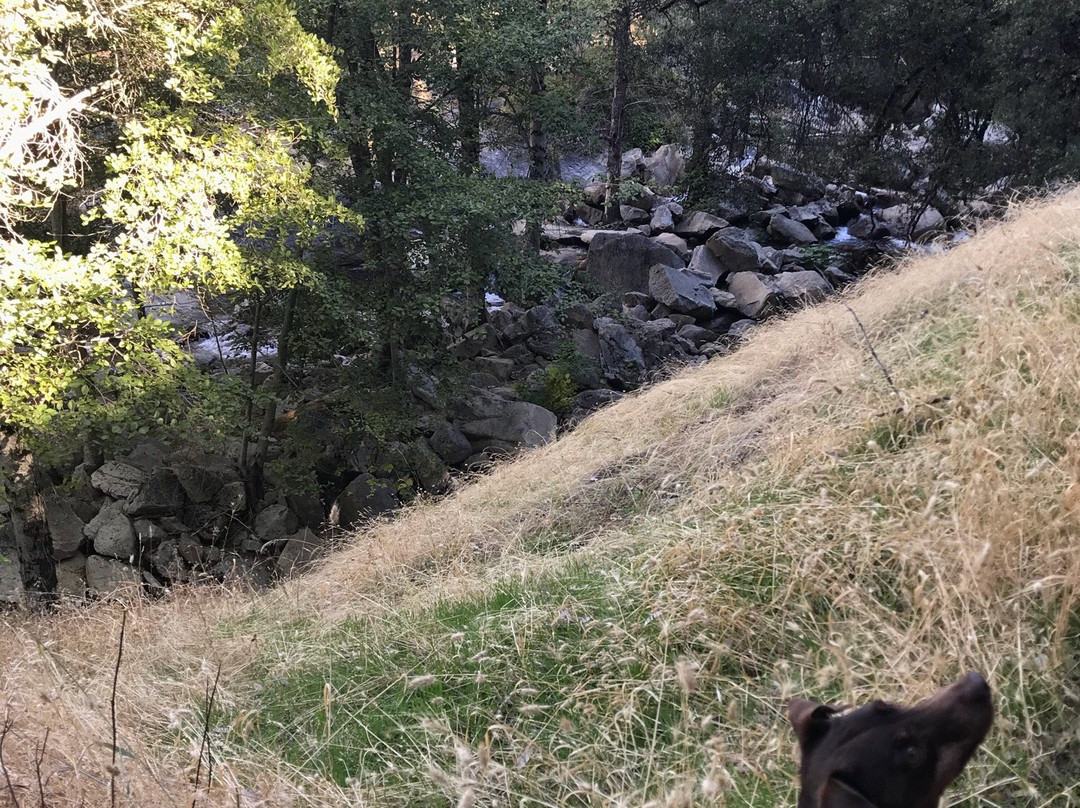 Willow Creek Trail景点图片