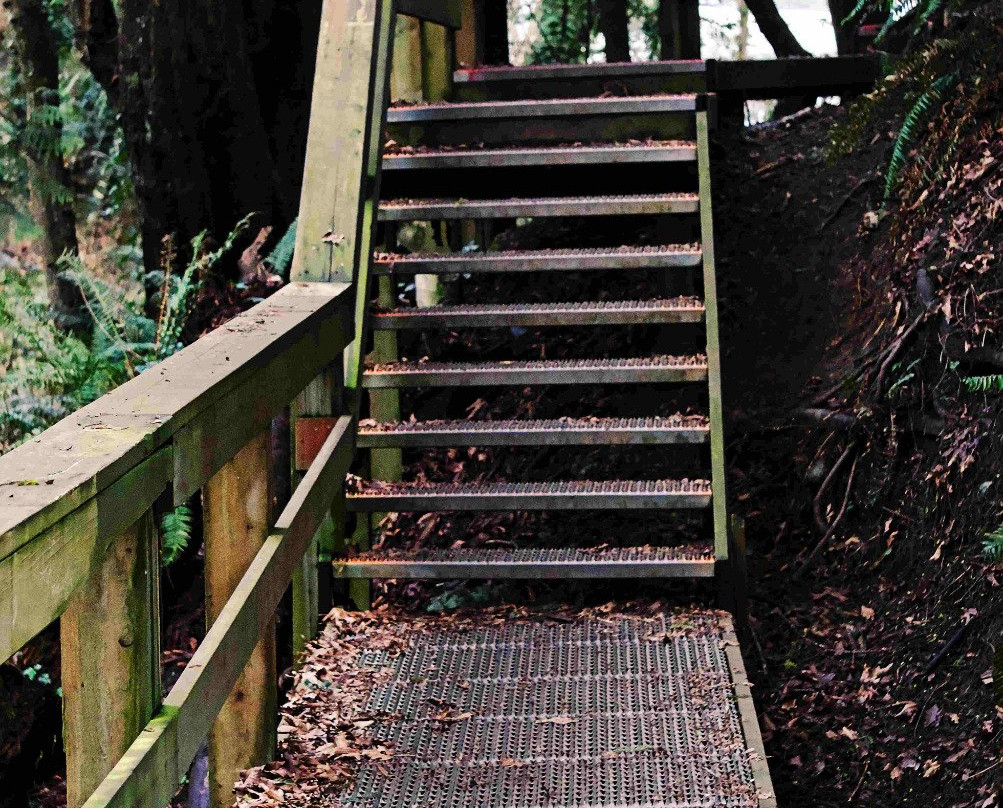 Beach Estates Park-纳奈莫必去景点