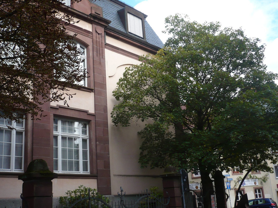 Museum Natur und Mensch景点图片
