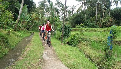 Temuku Aya - Bali Farming Life-达巴南必去景点