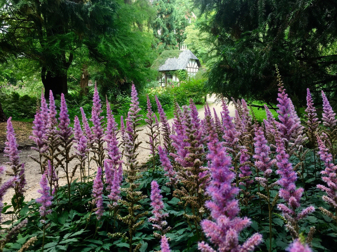 Alter Botanischer Garten-基尔必去景点