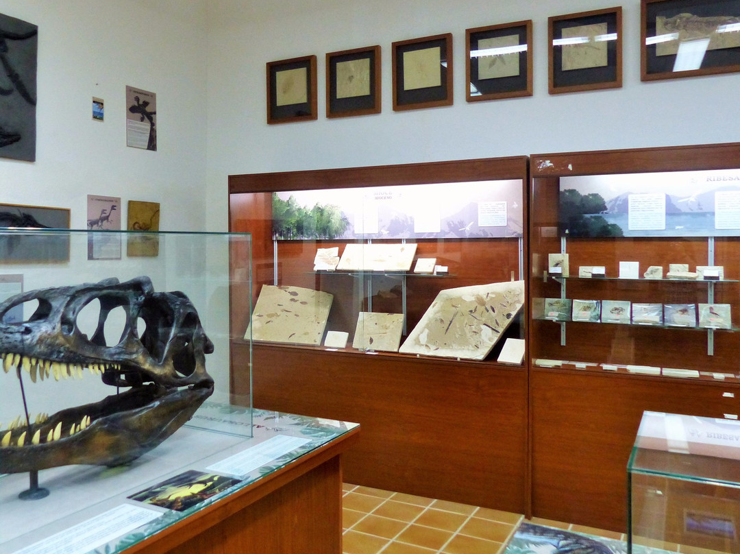 Museo de la Baronia de Ribesalbes景点图片