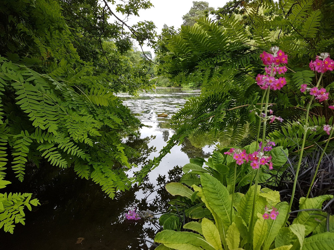 Longstock Water Gardens景点图片