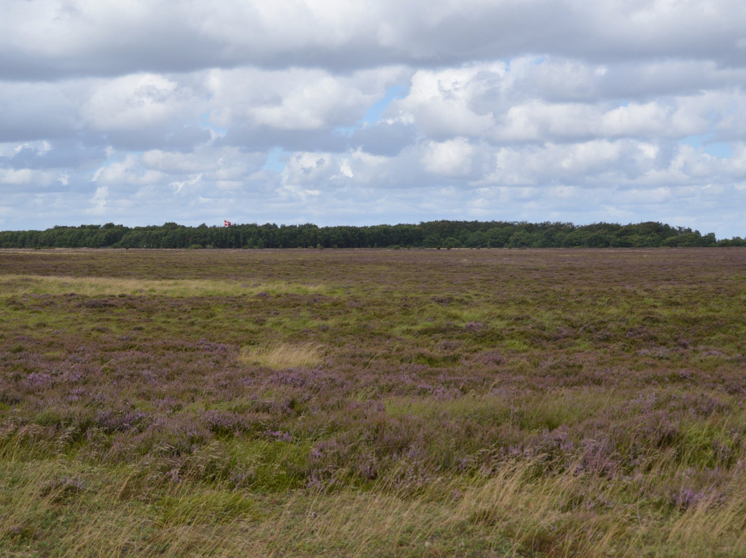 Kongenshus Mindeparks Naturcenter景点图片