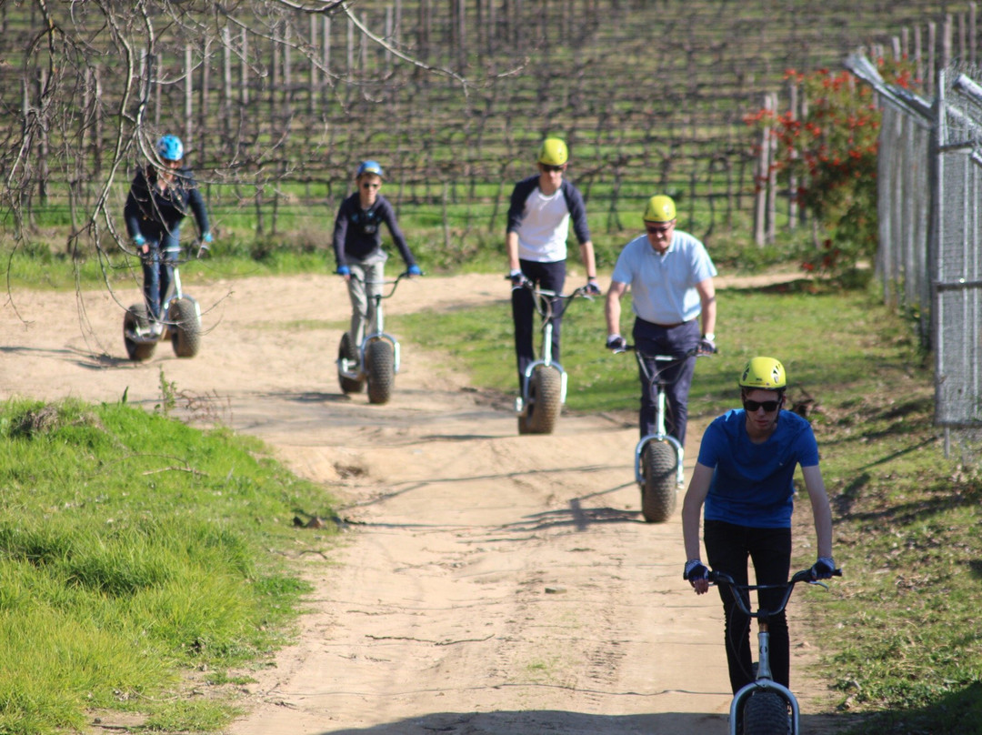 Scootours-桌山国家公园必去景点