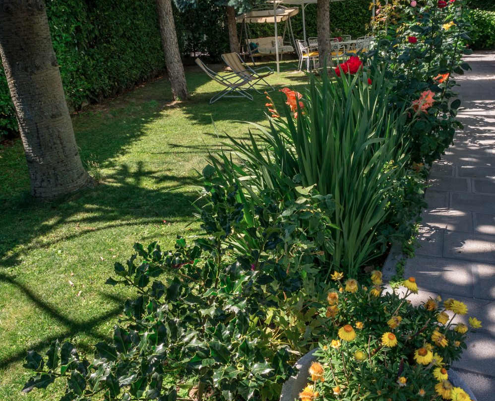 Bed and Breakfast La Magnolia di Elvira Biselli主图