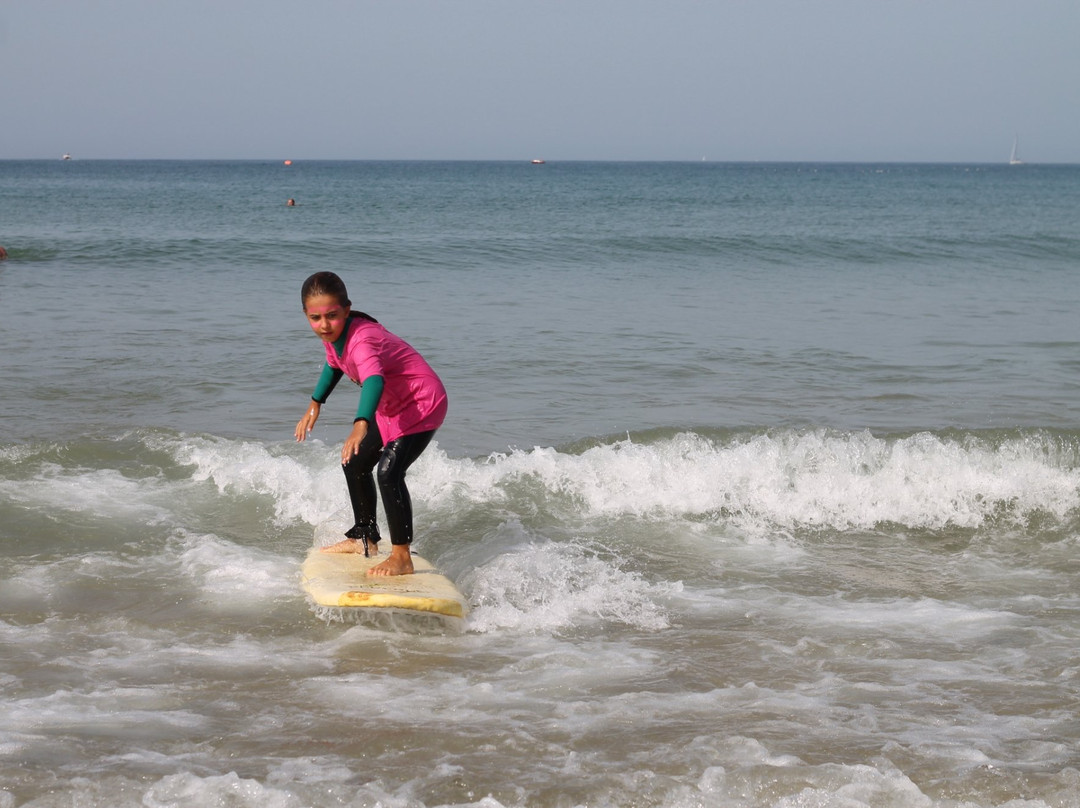 Playsurf Escola de Surf e SUP-普赖尔洛查必去景点