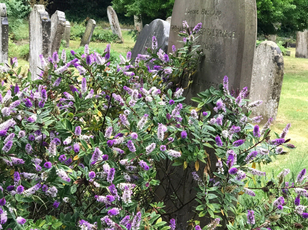 Histon Road Cemetery景点图片