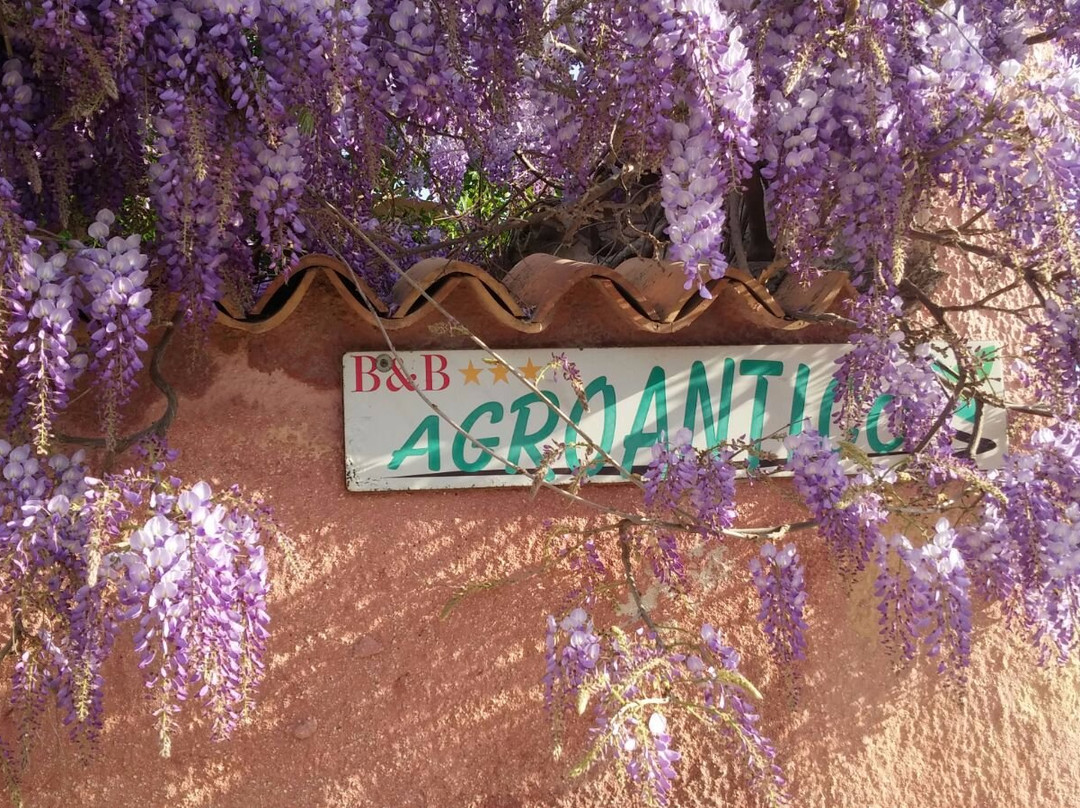 Agro Antico主图