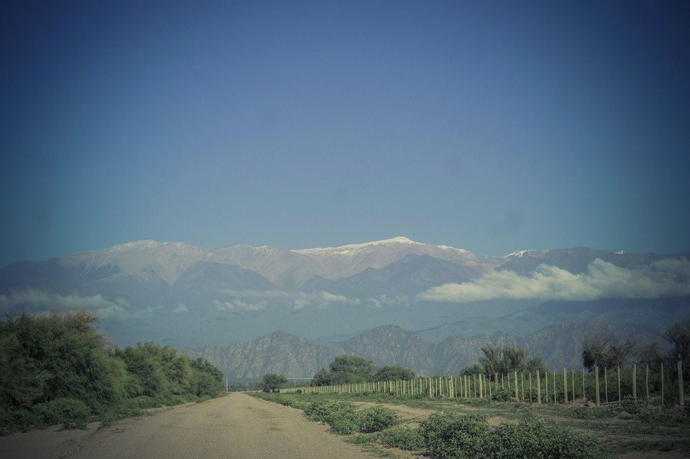 Bodega La Riojana Coop-Chilecito必去景点
