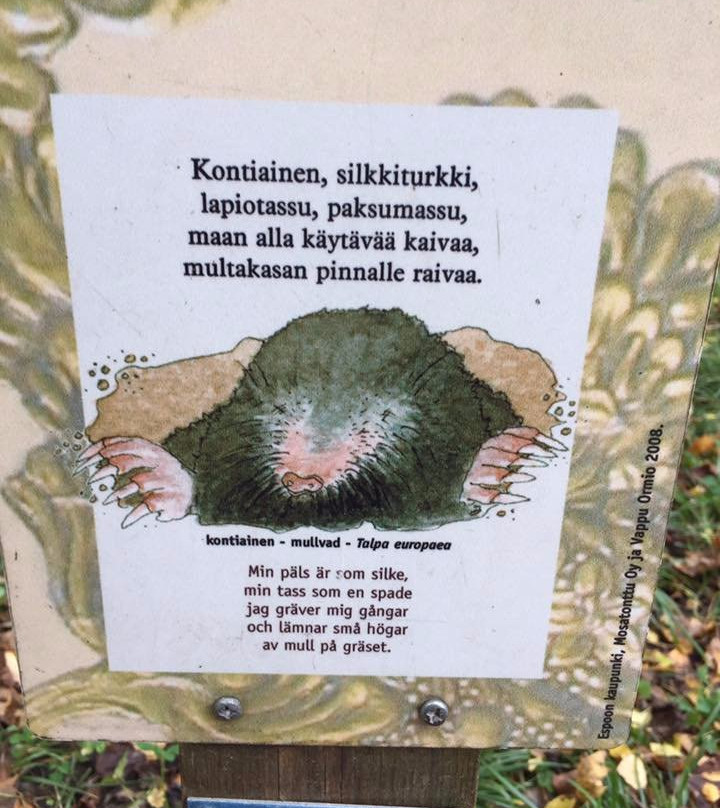 Laajalahti Nature Reserve-埃斯波必去景点