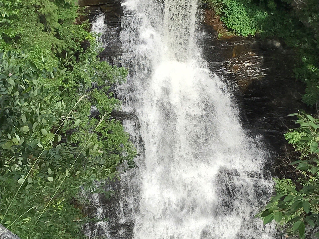 Pisgah Gorge Falls景点图片