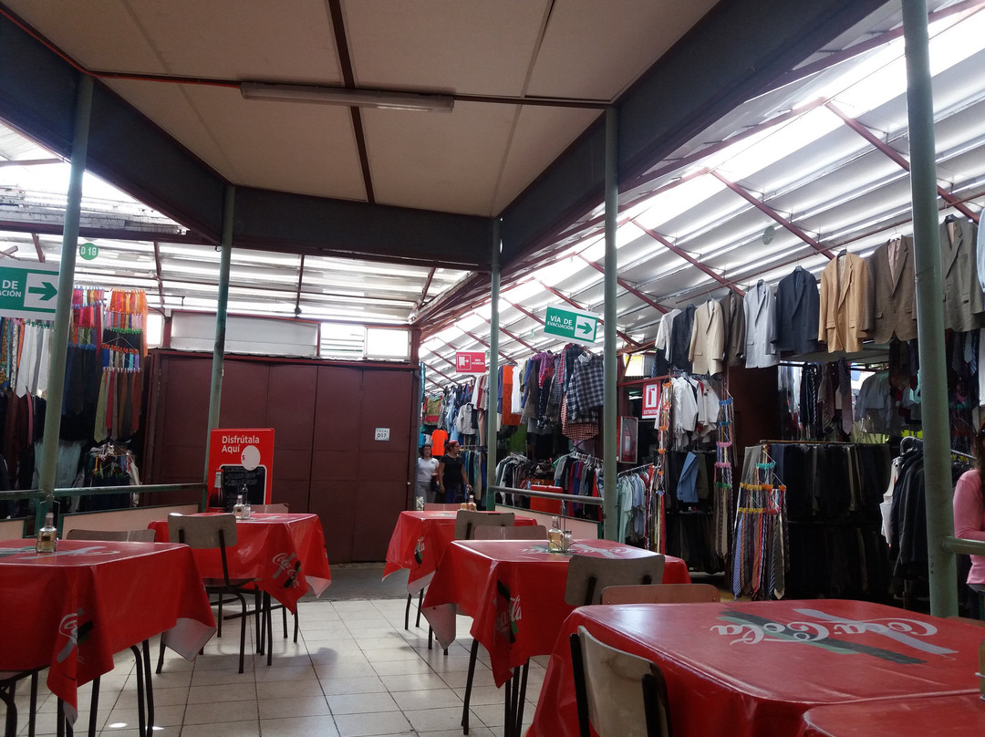 Terminal Agropecuario de Iquique - Region de Tarapaca-伊基克必去景点