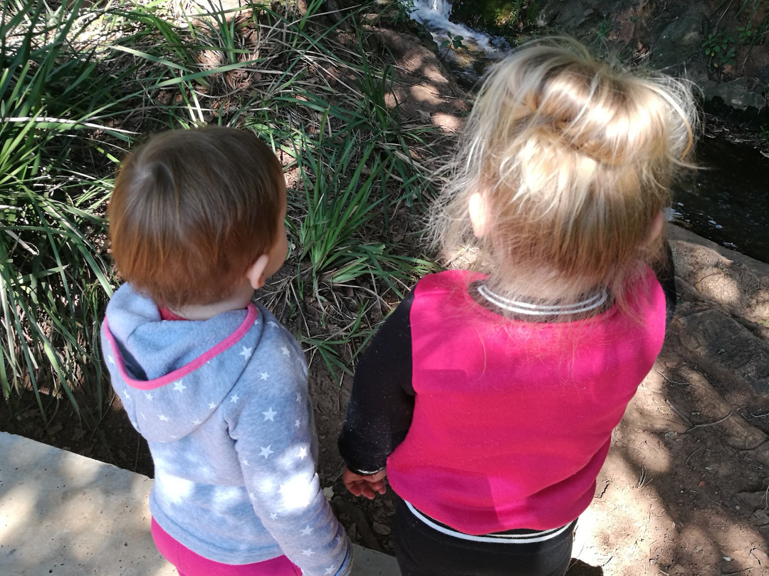 Jan Celliers Park-比勒陀利亚必去景点