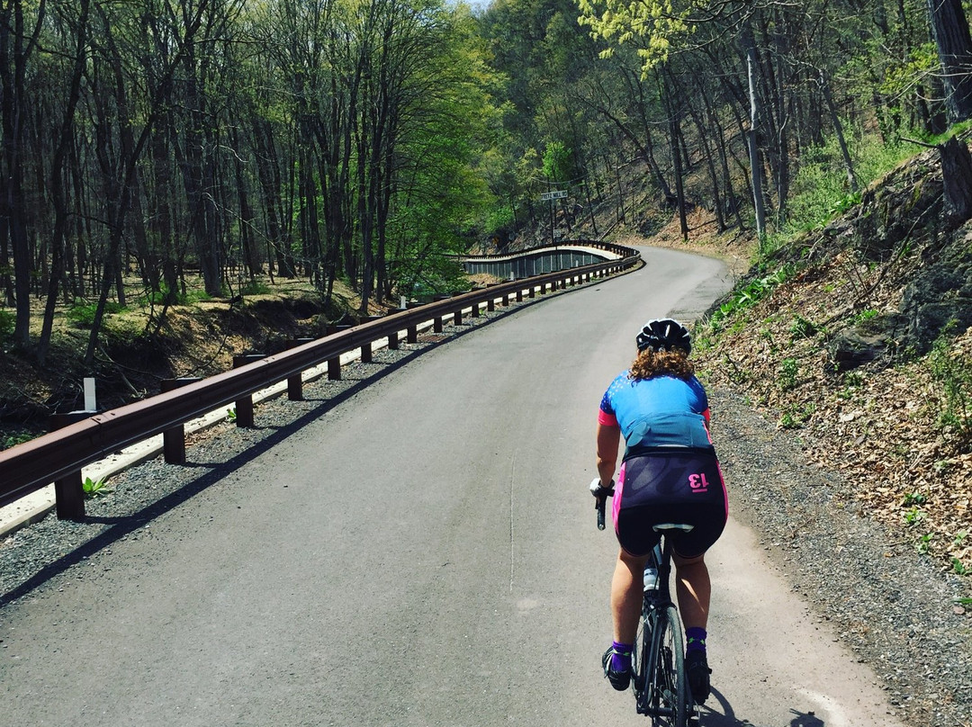 Bear Bicycle Touring Co景点图片