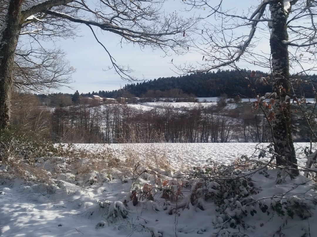 Ferme du Tilleul主图