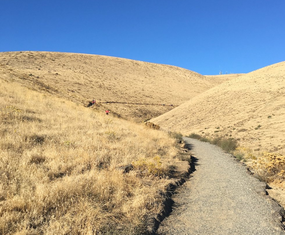 Badger Mountain Centennial Preserve-Richland必去景点