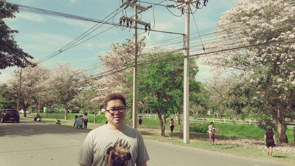 Ancient City of Kamphaeng Saen-甘烹盛必去景点