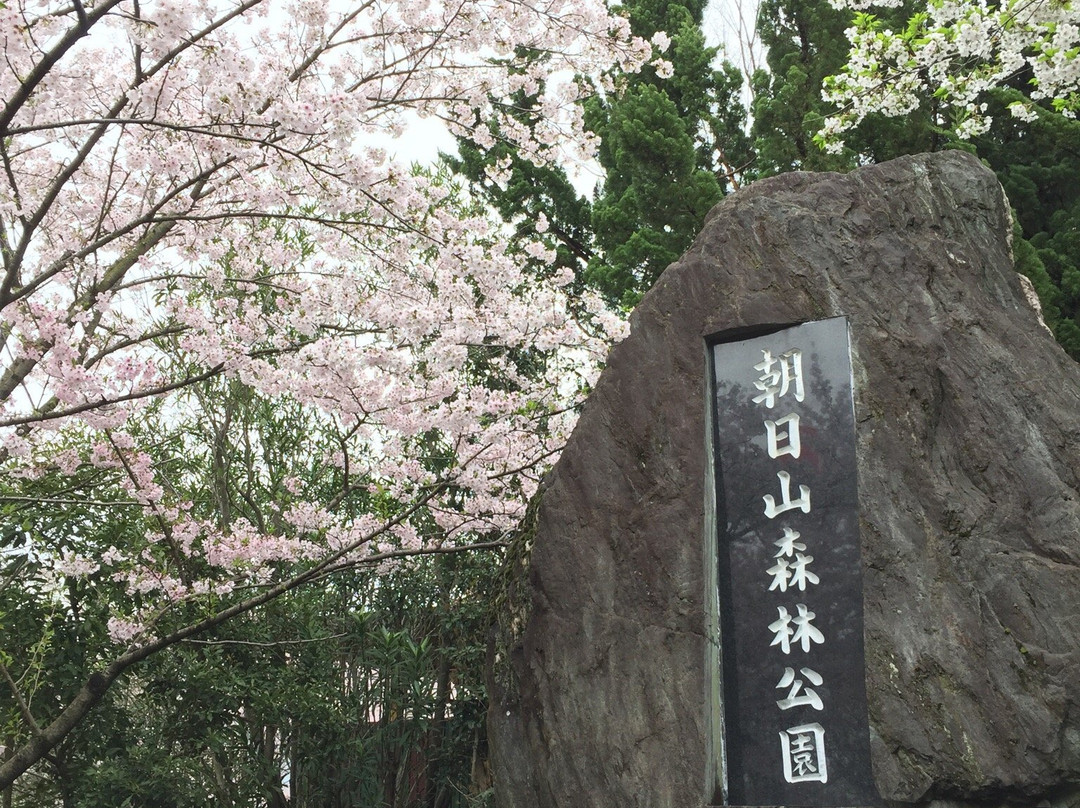 Asahiyama Shinrin Park景点图片