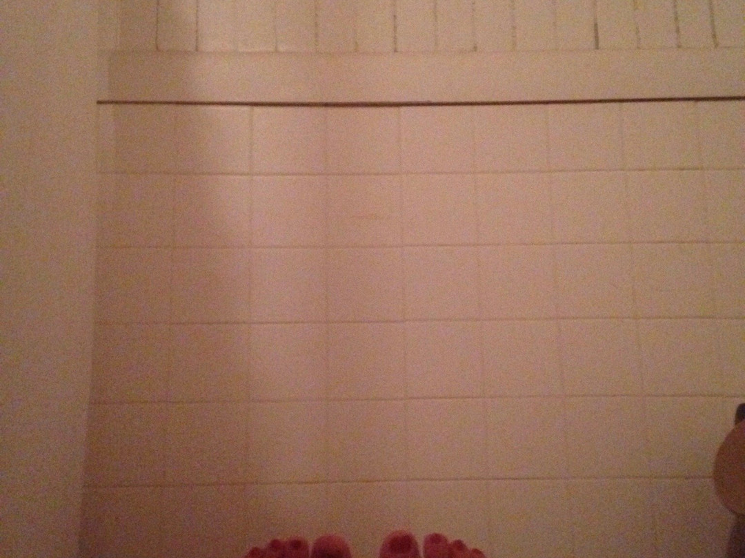 Carson Mineral Hot Springs-Carson必去景点