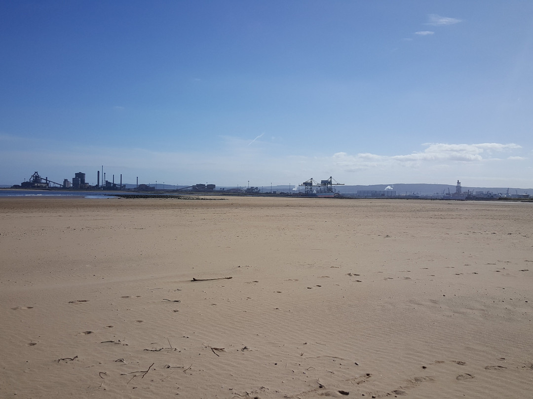 Teesmouth national nature reserve景点图片