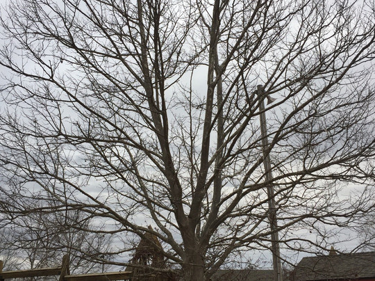 Big Creek State Park-Polk City必去景点