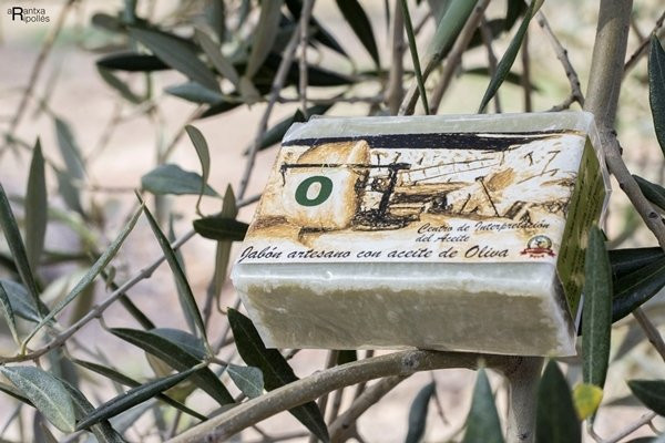 Almazara Sant Climent-Sant Mateu必去景点