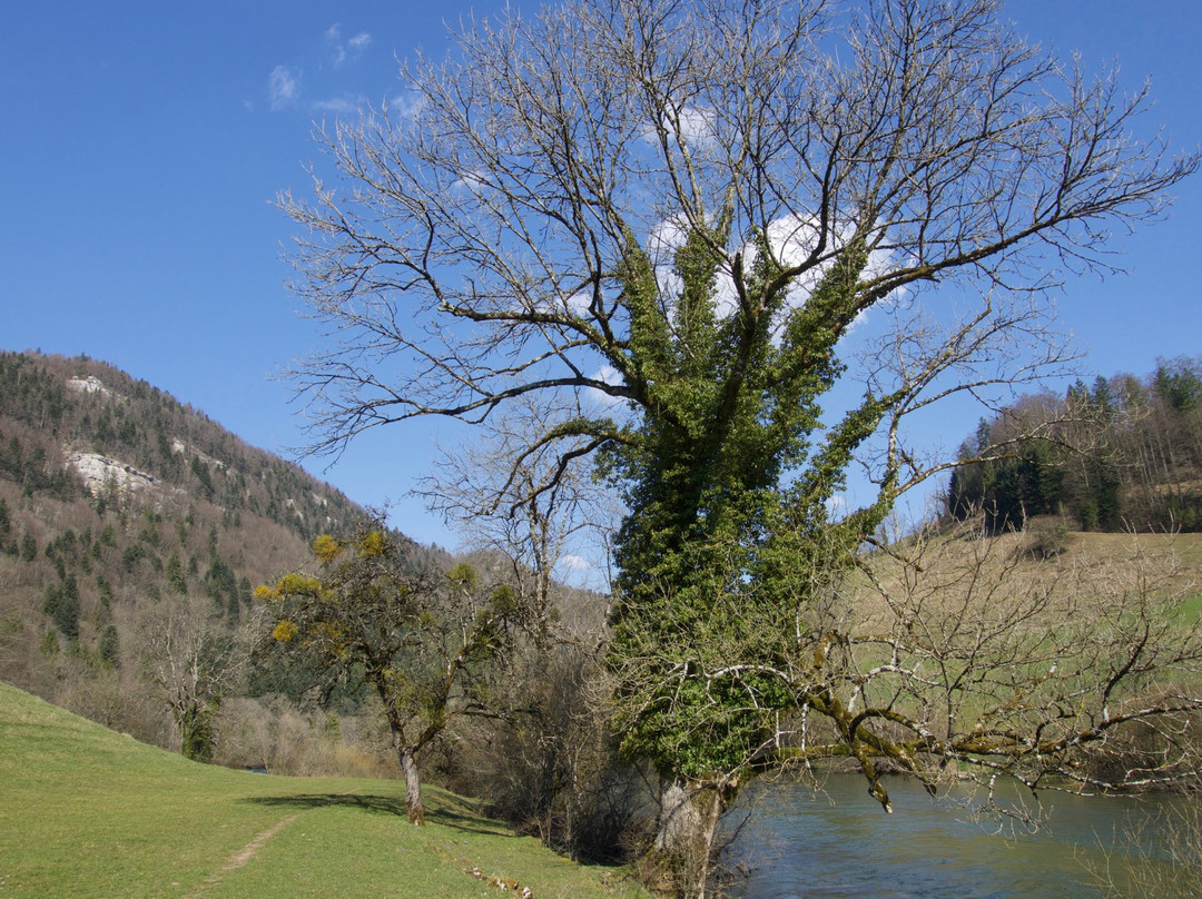 Jura Tourisme-Saint-Ursanne必去景点