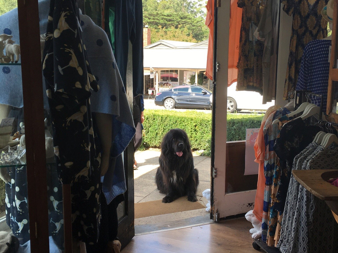 Quirky and The Jakster Sassafras-Sassafras必去景点