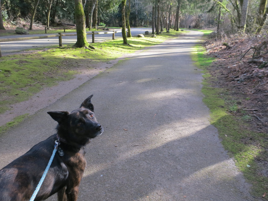 Cook Park-泰格德必去景点