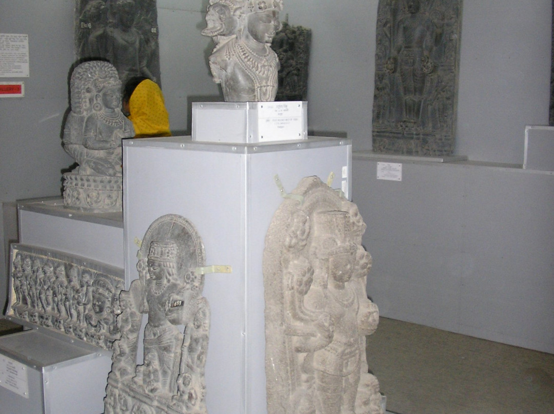 Varendra Research Museum-Rajshahi City必去景点