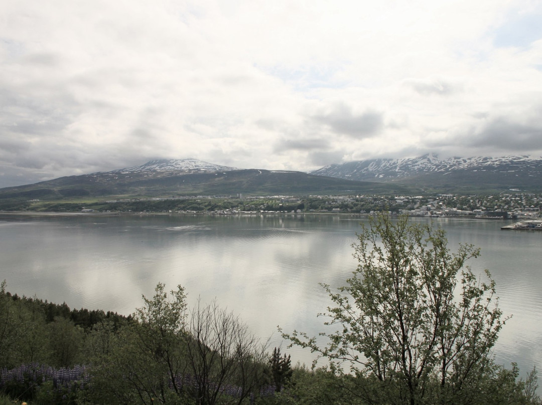 Estuary of the river Eyjafjardará-阿克雷里必去景点