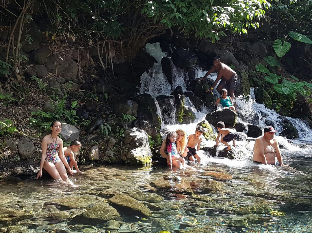 Balneario Ejidal El Bosque景点图片