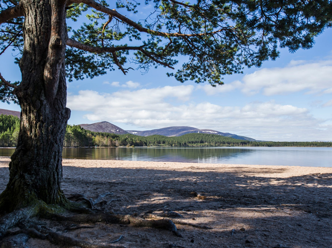 Glenmore Campsite