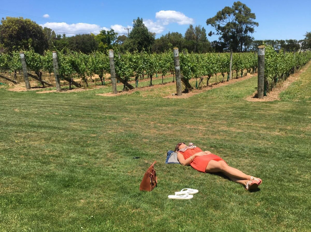 Martinborough Vineyard景点图片