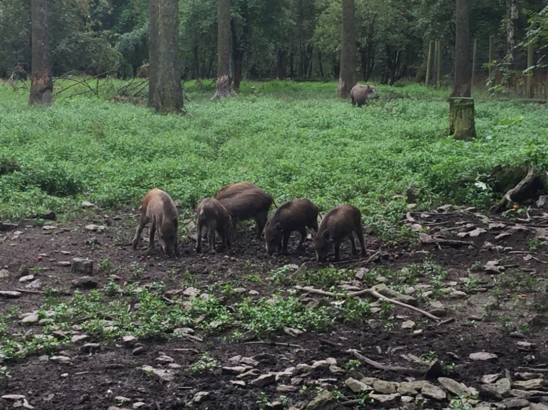 Tierpark Chemnitz