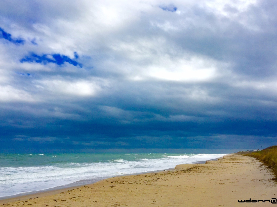 Indian River County wetlands-维罗海滩必去景点