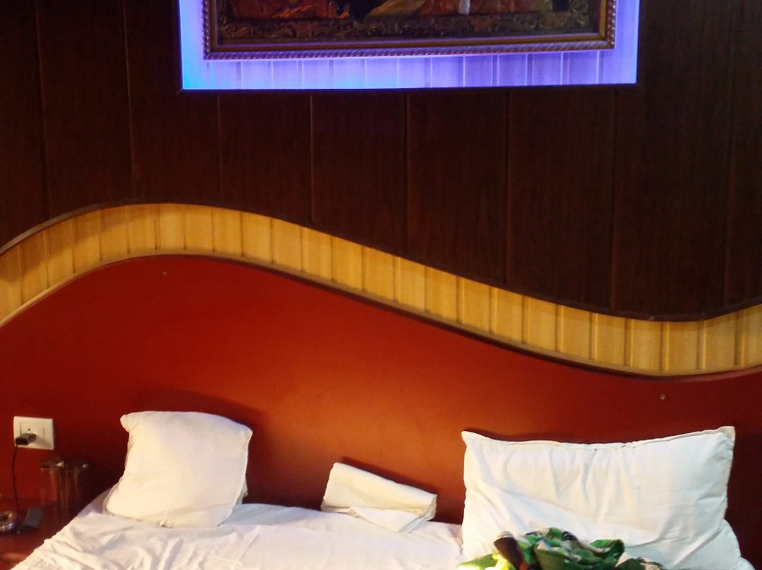 Hotel Surya Palace主图