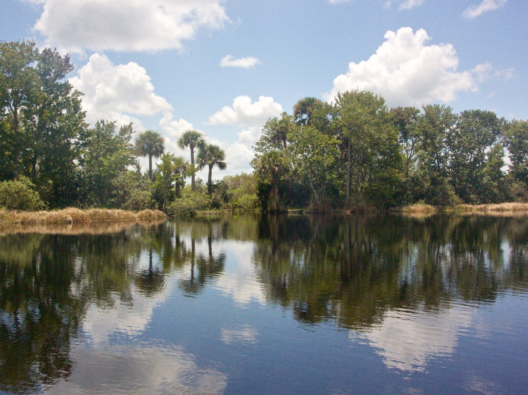 St. Johns River Wildlife Tours景点图片