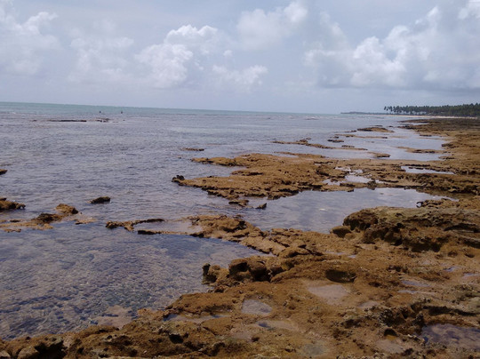 Elotur-累西腓必去景点